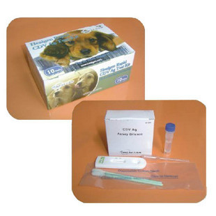 犬瘟检测试纸（CDV)